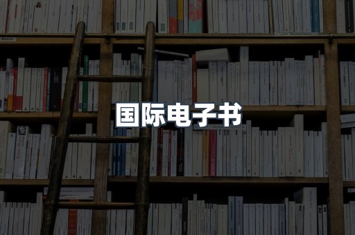 国际电子书